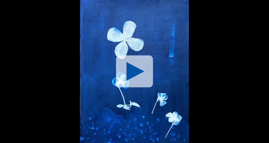 Embedded thumbnail