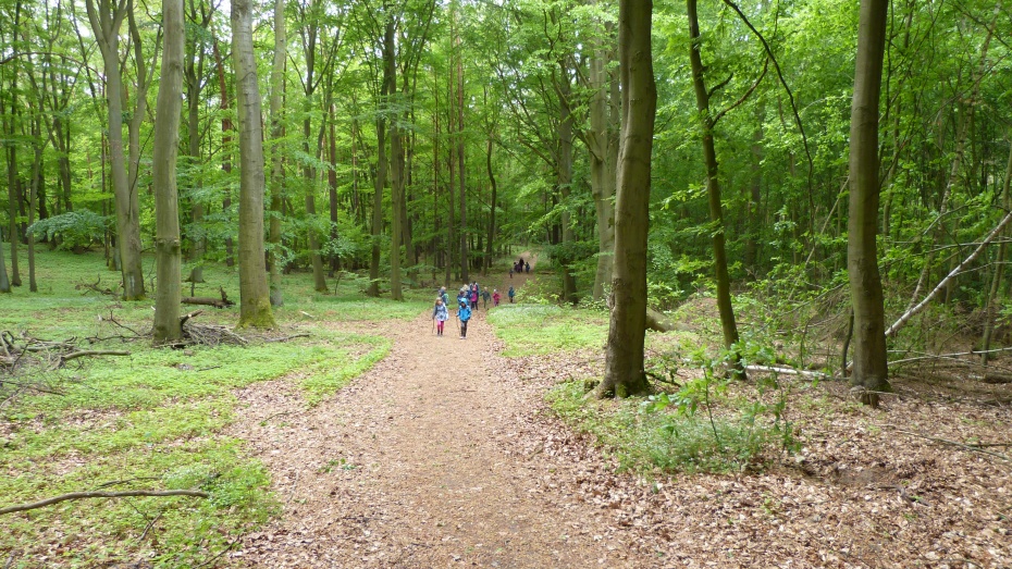 Wanderung im Stadtwald Angermünde