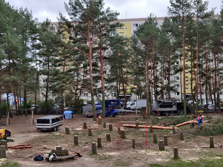 Baumfällarbeiten im Garten der Kita