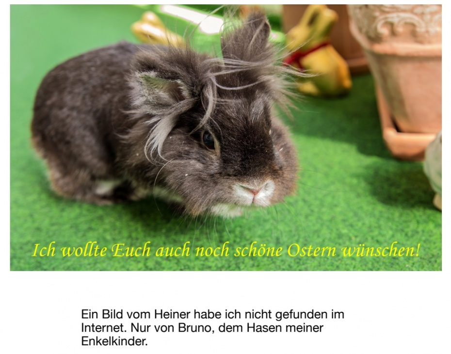 Das ist Bruno, der Hase meiner Enkelkinder