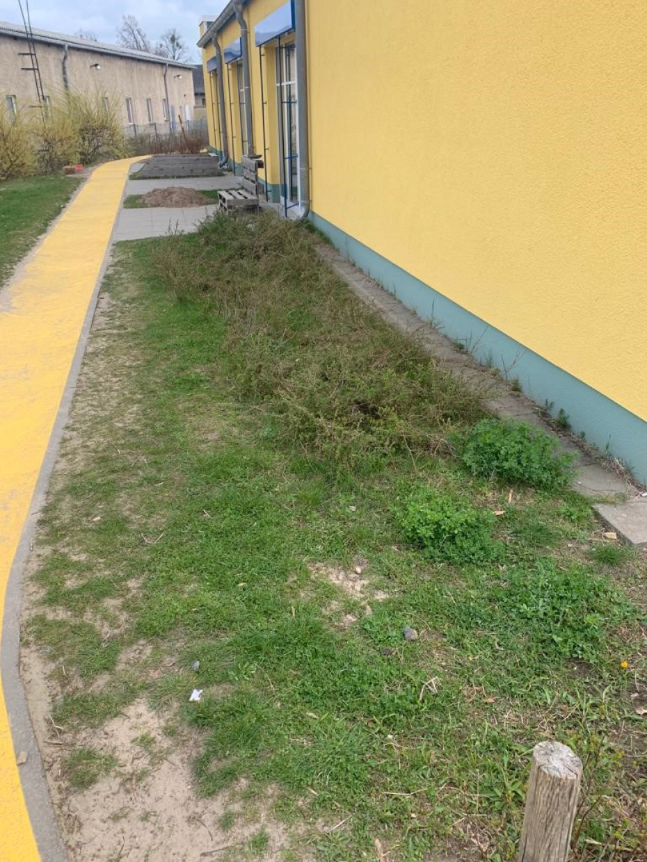 Was wohl hier entstehen soll?