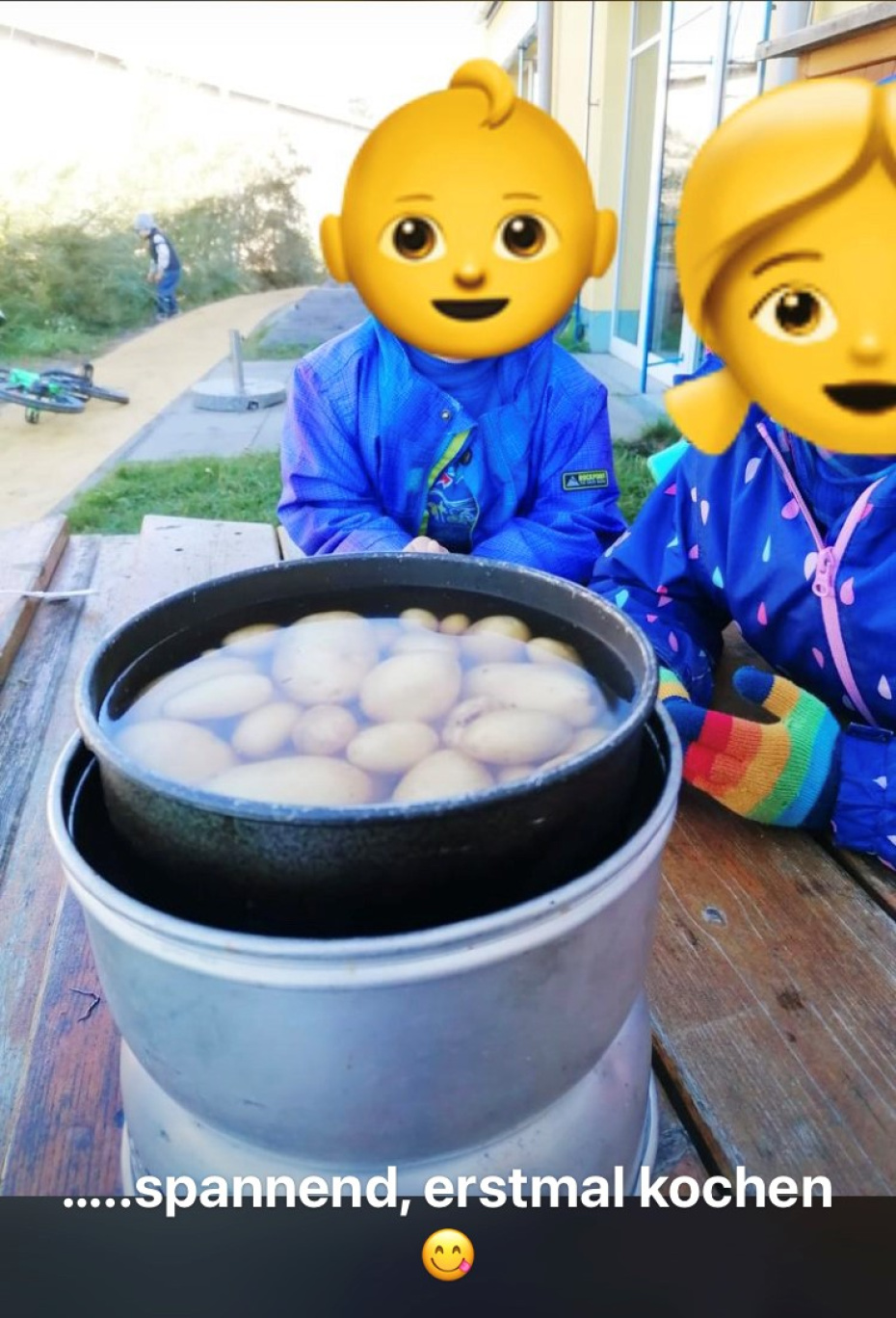 Spannend, es werden die geernteten Kartoffeln gekocht