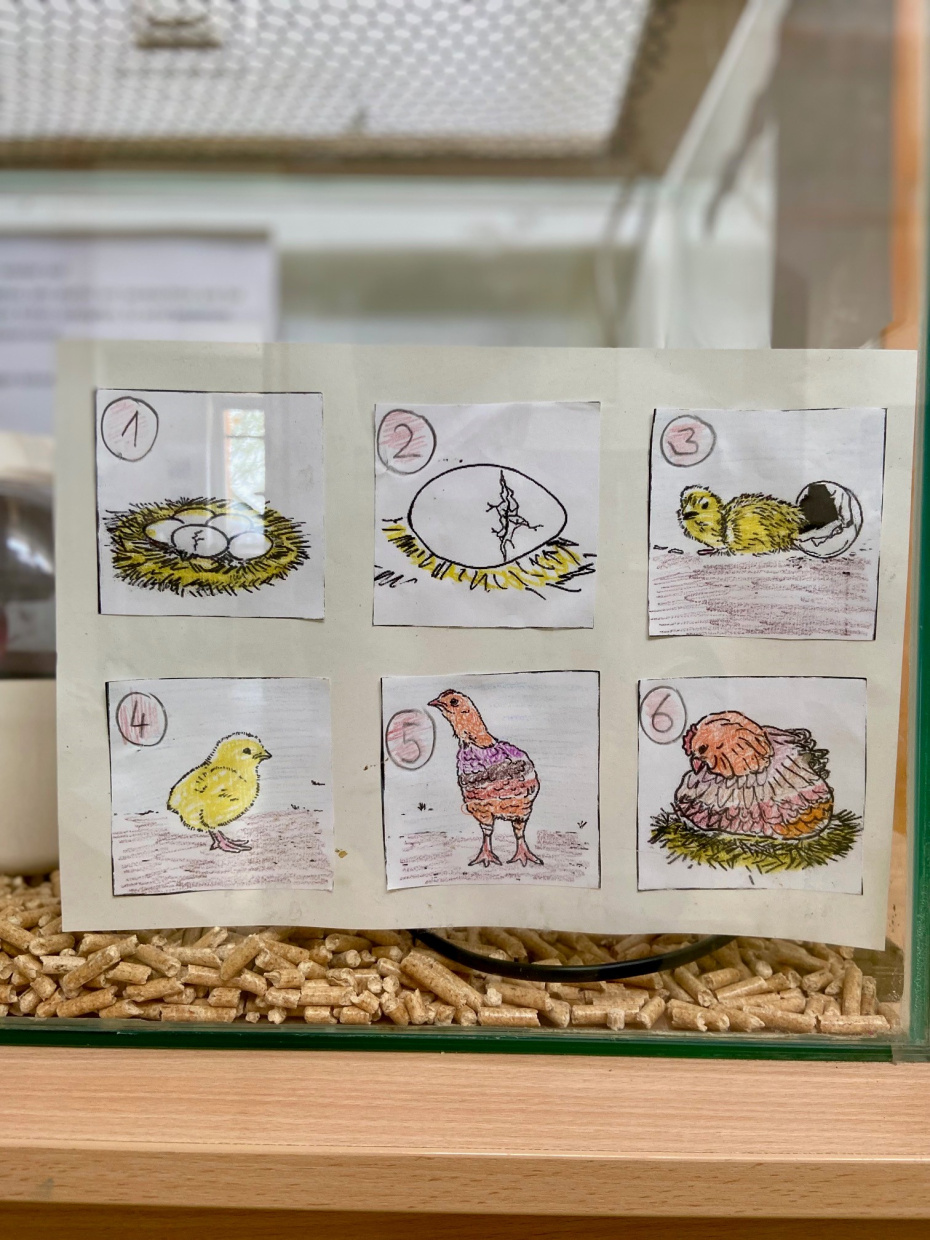 Kinder gestalten den Prozess in Bildern