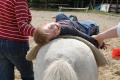 Therapeutisches Reiten