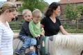 Reiten