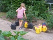 Pflanzen benötigen im Sommer regelmäßig Wasser, auch wenn es geregnet hat, denn meist reicht die Regenmenge nicht aus. Der Garten muss nicht  jeden Tag gegossen werden, dafür aber ausgiebig. Besonders an heißen Tagen ist der Boden so ausgetrocknet, dass das Wasser schnell abfließt und nicht ausreichend im Boden versickern kann