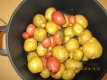 Dank der großen Anpassungsfähigkeit der Kartoffel wird diese heutzutage praktisch auf der ganzen Welt angebaut. Auch in unserer Kita. Kartoffeln sollte man nur gekocht zu sich nehmen. Die braune Knolle ist fester Bestandteil unseres Speiseplans, die Verwendung ist von ihren Kocheigenschaften abhängig.