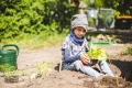 Aber auch Pflanzen, die einfach nur schön aussehen oder toll duften, wie beispielsweise Lavendel oder Sonnenblumen, können Kinder begeistern. 