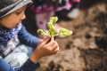 Es ist wichtig für Kinder, zu sehen, dass nicht alles aus dem Supermarkt kommt, sondern Gemüse und Obst auch im eigenen Garten wachsen kann.