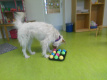 Schnüffelspiel