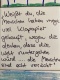 Kindermund
