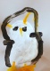 Pinguin