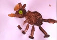 Pferd