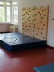 die Kletterwand im Sportraum
