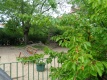Blick in den Garten