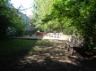 Blick in den Garten