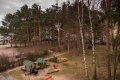 Der Garten mit seinem Kiefernbestand