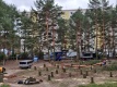 Die Baumfällarbeiten sind in vollem Gange