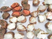 Mozzarella-Baguette mit Dip