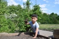 Garten "Wurzeln und wachsen lassen"