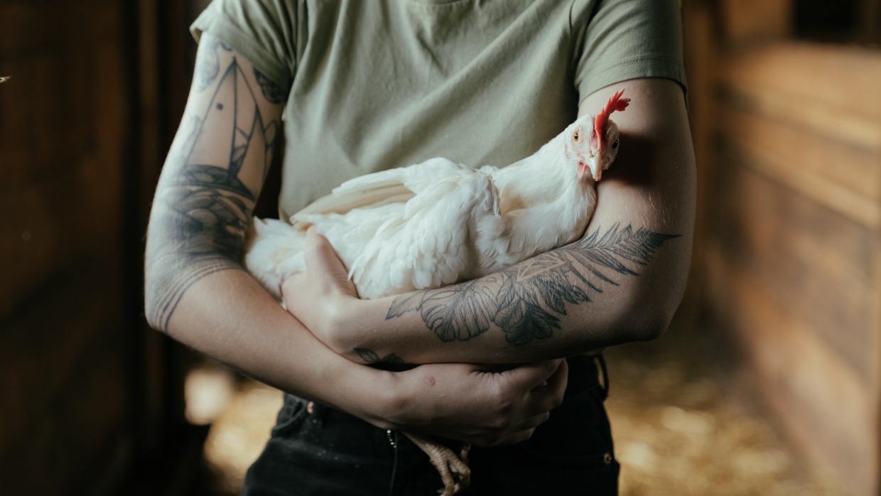 Foto: cottonbro | pexels