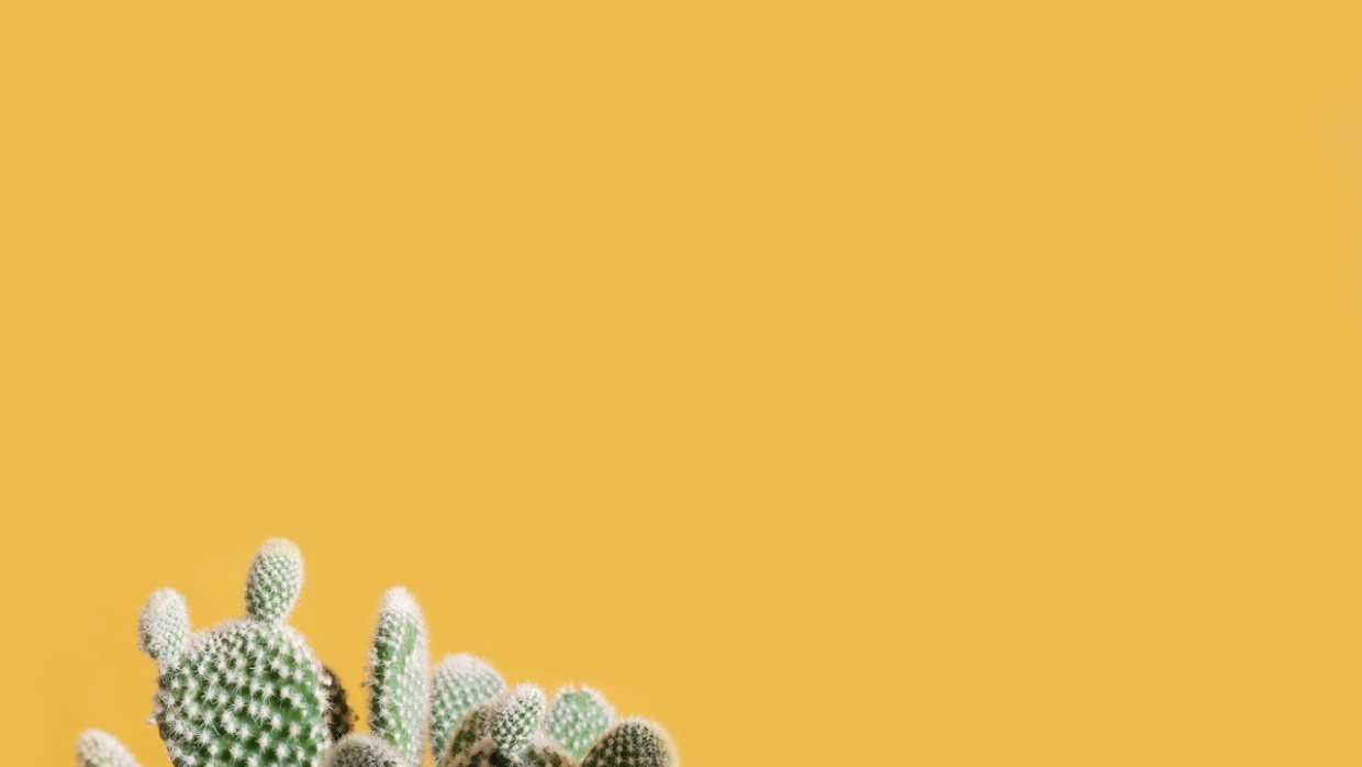 Scott Webb | pexels