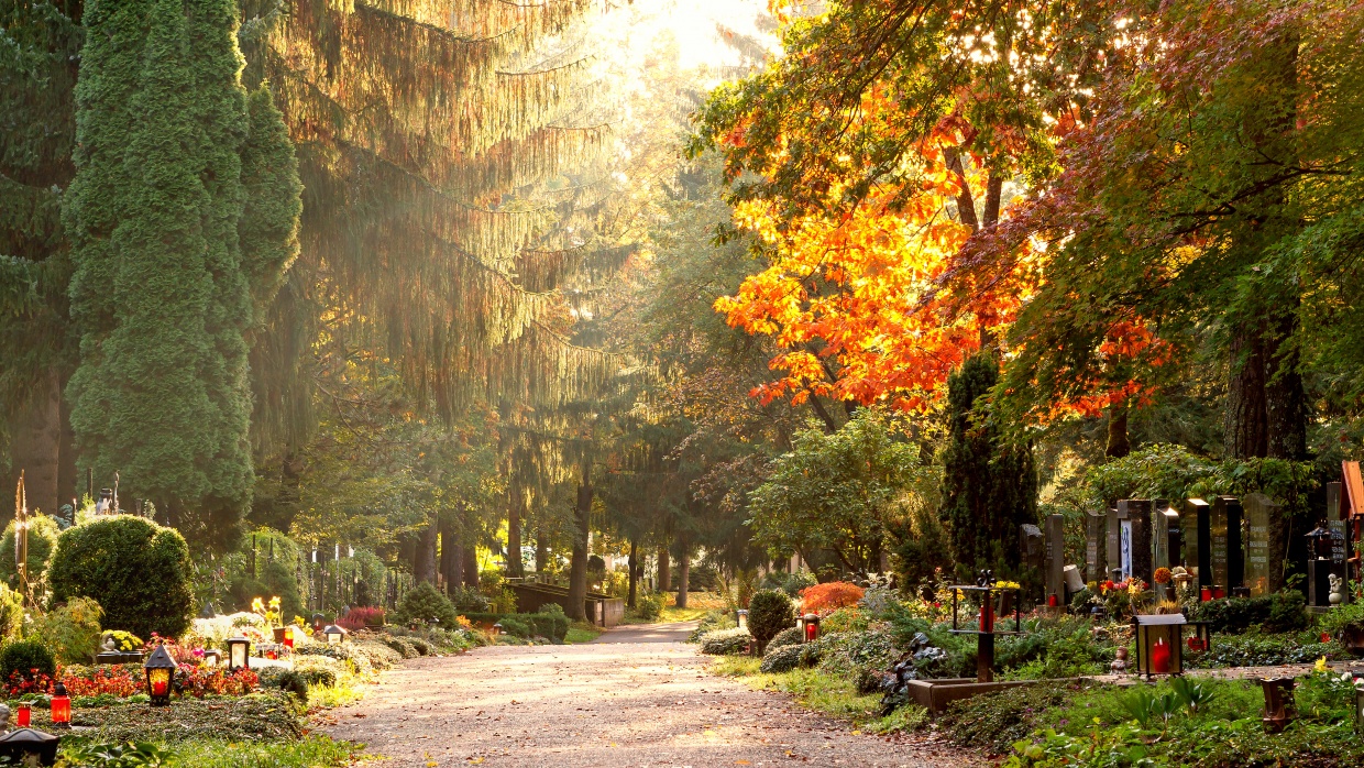 Foto: stockpics – stock.adobe.com