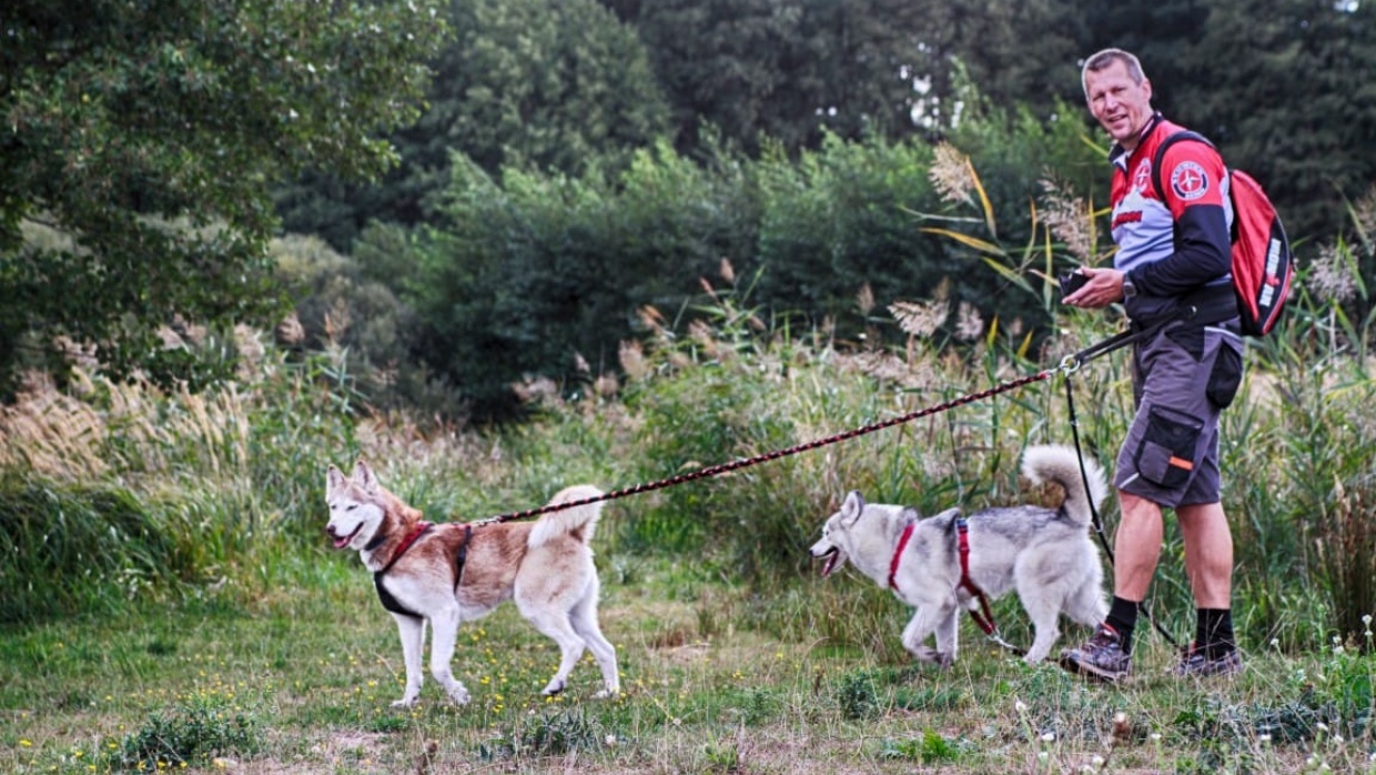 Huskys