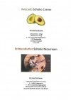 avocado_schoko_creme